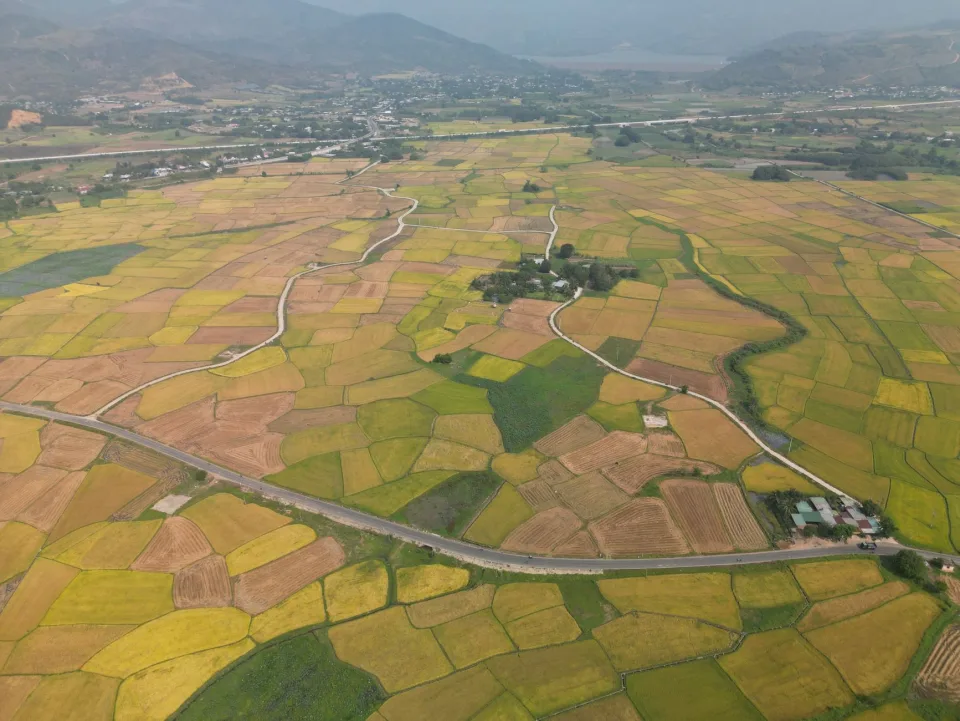 Kho gạo của Hồ Thị Bích Ngọc
